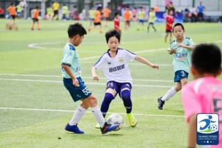 广东足球青训(厦门蓝狮足球俱乐部)，广东足球青训与厦门蓝狮足球俱乐部的合作之路